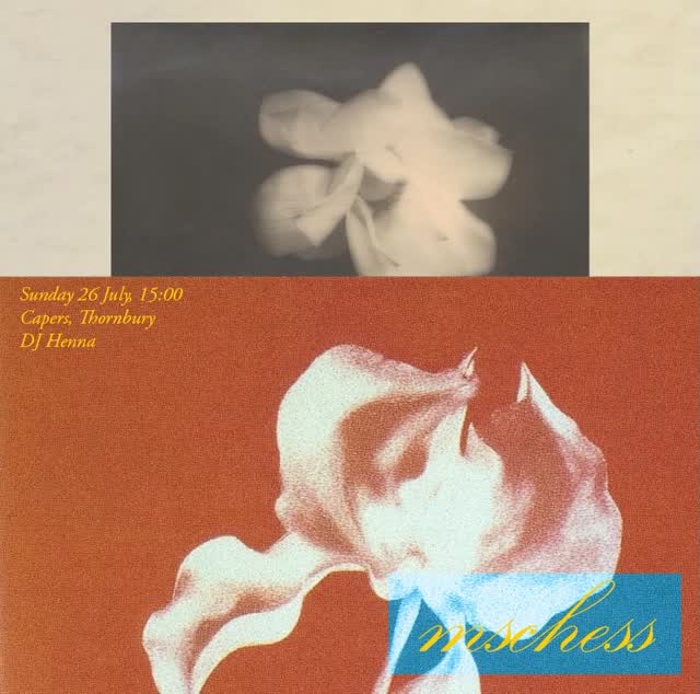 Tulip and the Cyprus Cyclamen - Chess and DJ Tunes